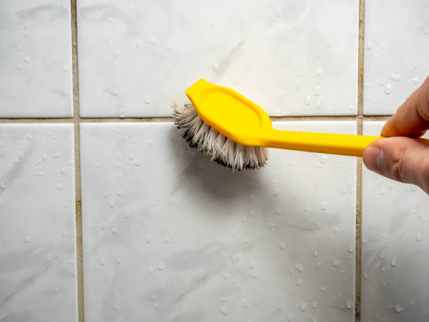 Best Health and Safety Mold Remediation in Wellsville, OH