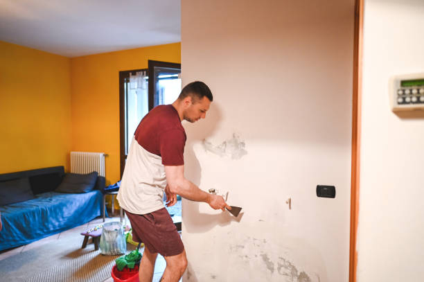 Best DIY Mold Remediation Support Services in Wellsville, OH